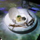 This Place Lets You Dine in Outer Space! - Munch by WORLD OF BUZZ