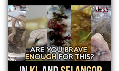 5 Bizarre Food In KL And Selangor - Munch by WORLD OF BUZZ